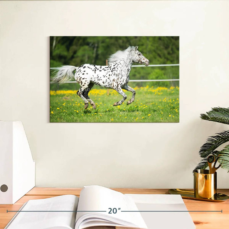 Corbeau cheval Appaloosa, H 8 po x l 12 po