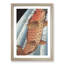 Red Carp by Yashima Gakutei - Picture Frame Painting Print-55597859-55597861