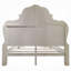 Lit Caruthersville-852917538