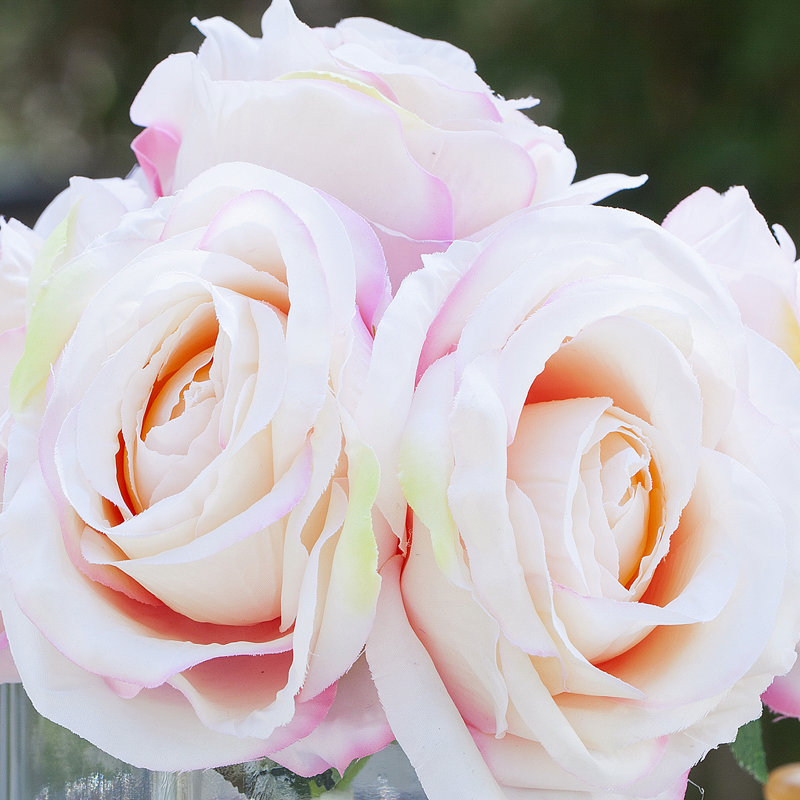 Centre de table rose dans un vase, Rose
