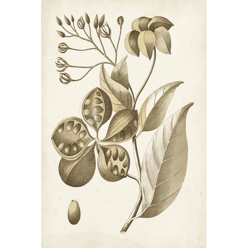 Ochre Botanical II - Wrapped Canvas Print, 30cm H x 20cm W x 3.8cm D