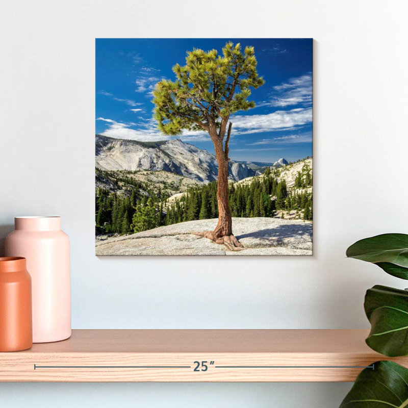 Harnek Yosemite Park Tree, 24" H x 24" W