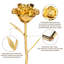 Behka Arrangement-634889694