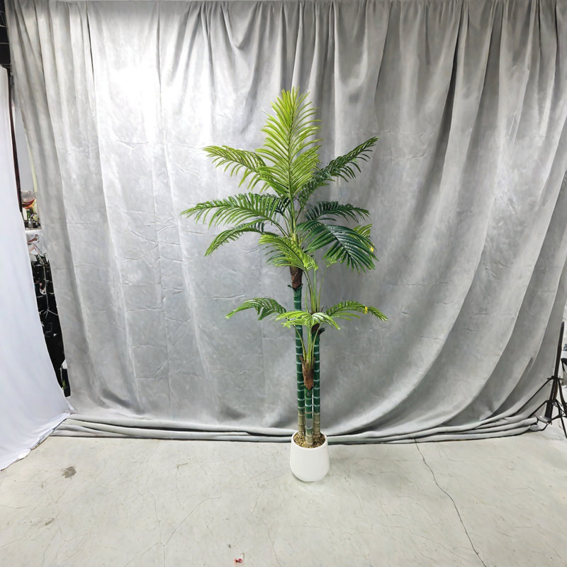 Multiple Palm Trees Used For Home Decoration, 70.87" H x 23.62" W x 23.62" D