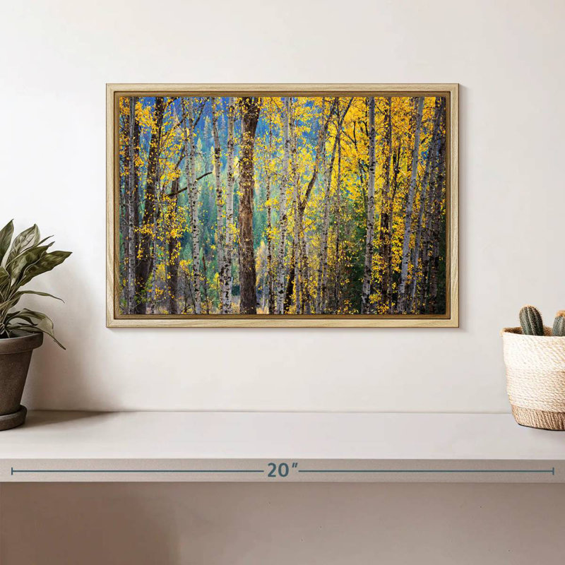 Kootenay Fall II, Cadre flottant en bois naturel, 13 po x 9 po