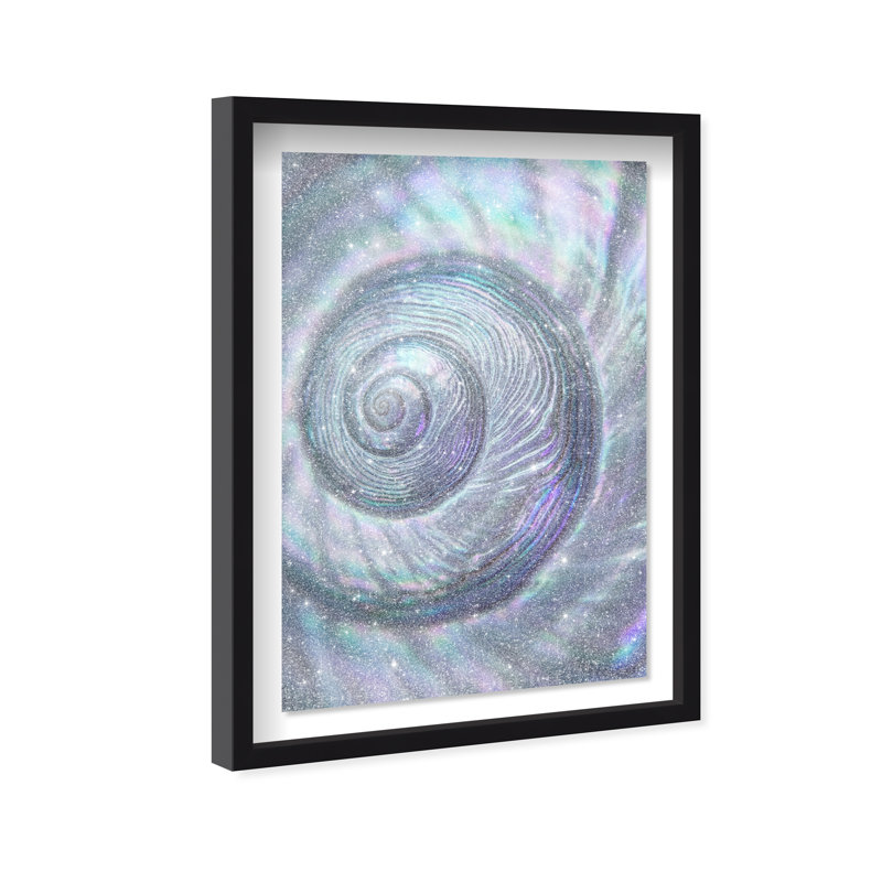 Sea Spiral Shadowbox Nautical & Beach Print by Oliver Gal, Black Frame, 10 x 15, 37.5"H x 25.5"W, Black Shadowbox