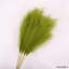 Arrangement d'herbe de pampa en soie-483141769-508434785