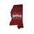 Mississippi State University
