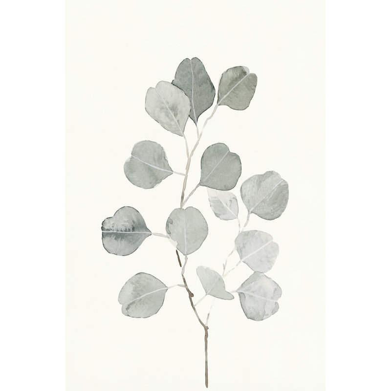 Sauge délicate botanique I, H 48 po x l 32 po