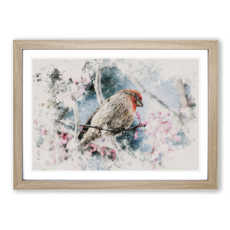 A House Finch Bird Watercolour - Picture Frame Graphic Art, 36cm H x 48cm W x 2cm D, Oak