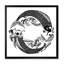 Poisson koi chinois dans un style chinois III - Impression sur toile-59282083-59282089
