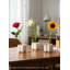  Vase Petala