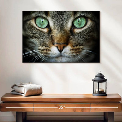 Feline Eyes