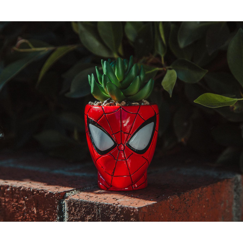 5'' Faux Succulent Plant in Planter
