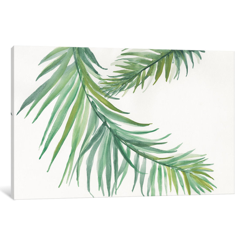 «Ferns IV» par Chris Paschke, reproduction sur toile, H 12 po x l 18 po x P 1,5 po