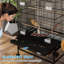 Cage à oiseaux 43 po Tucker Murphy Pet ™-779002527