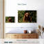 Ours Yosemite-107675246