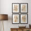 Parchment Coral I - ensemble de 4 reproductions de cadres photo-2014908186-2014908187