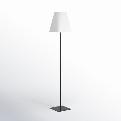 66.3'' Floor Lamp