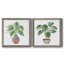 Boho Greenery I - ensemble de 2 peintures sur toile encadrées-1793192158-1793192155