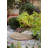 Speights Non-Slip Outdoor Doormat-819185629
