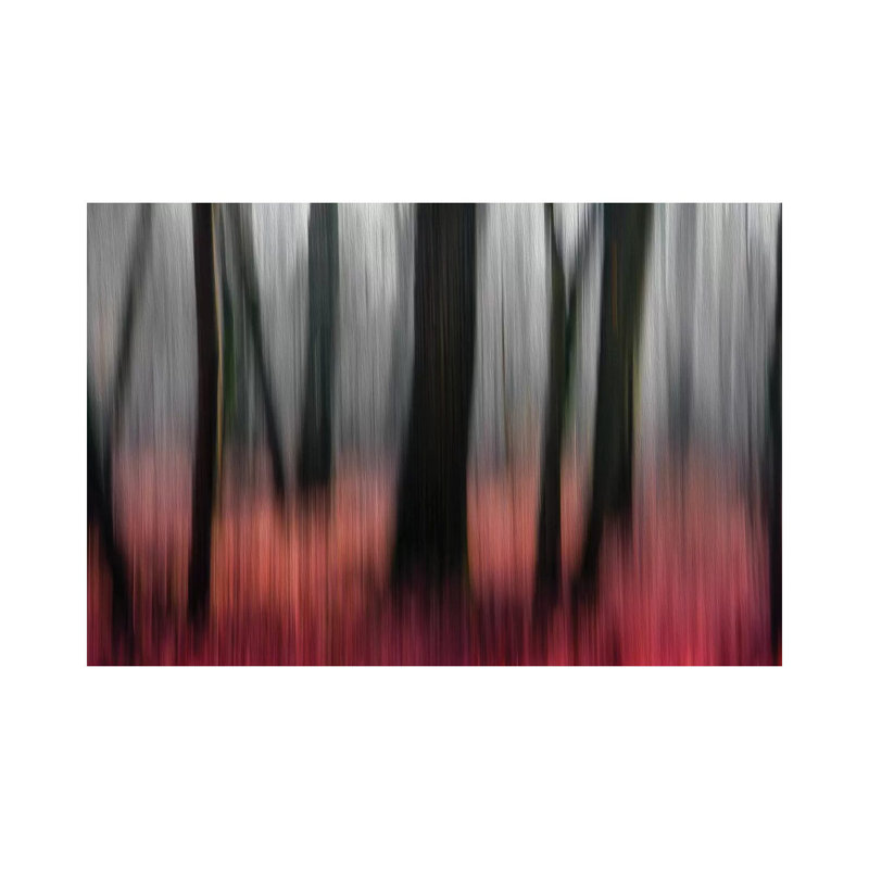 Red Wood by Gilbert Claes - Wrapped Canvas Print, 20.32 cm H x 30.48 cm W