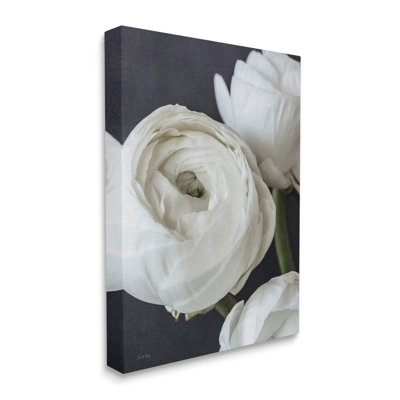 Fleurs de renoncules en fleurs en fleurs en gros plan par Jennifer Rigsby - Photographie sur toile