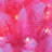 4' Lighted Pine Christmas Tree