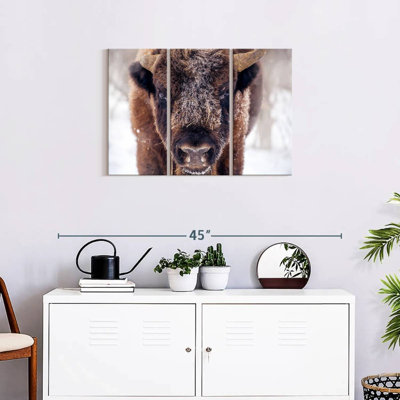 " Frosty Bison " 3 - Pieces