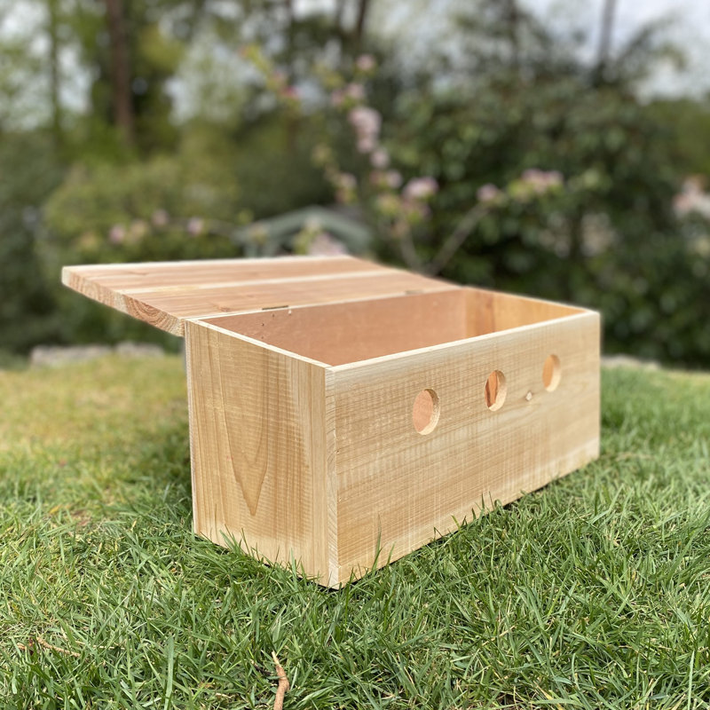 Sparrow Colony Terrace Wooden Mounted Bird House