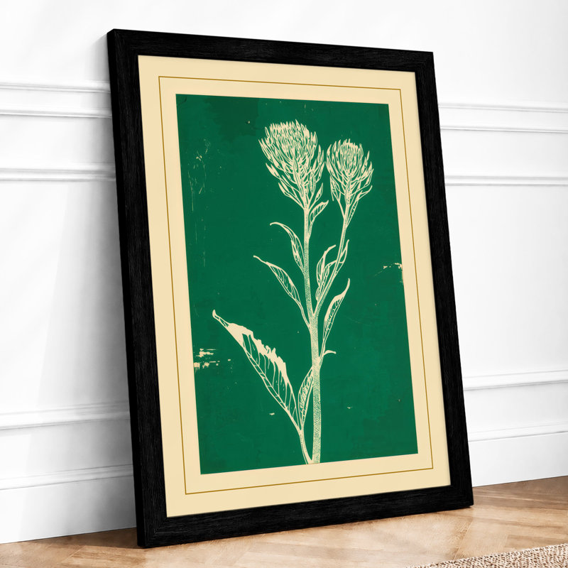 Cream Carnation Study Botanical - Print, A1 - 84.1 x 59.4 cm, Black