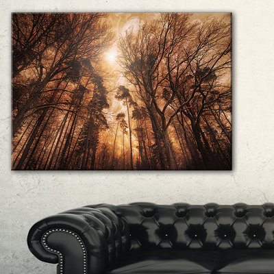 Pittoresque forêt d'automne - reproduction de photo sur toile tendue