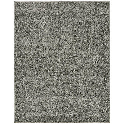 Indoor Rug