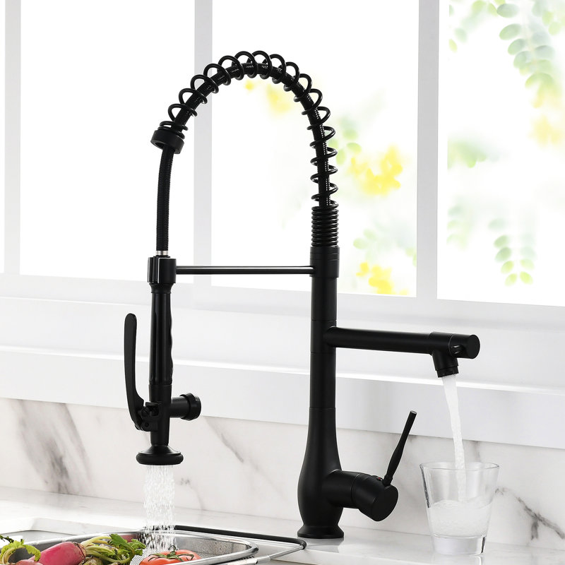 Robinet de cuisine avec douchette rétractable noire - poignée simple, eau chaude et froide, flair noir contemporain, remplissage en céramique, utilisation durable
