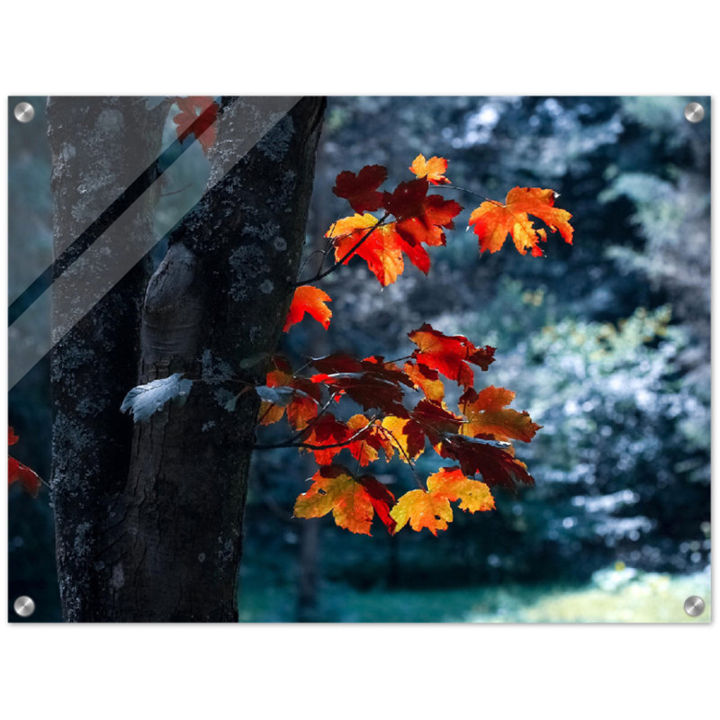 Impression sur feuille d'érable - Art mural automne nature - affiche sur toile feuille d'érable canadienne - feuillage d'automne saisonnier