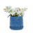 Handmade Ceramic Planter Set Of 2, 6" & 8" Diameter, Deep Blue With Leaf Pattern, For Succulents & Herbs Indoor/Outdoor Shelf & Table Use, Breathable Clay With Saucers-208360642