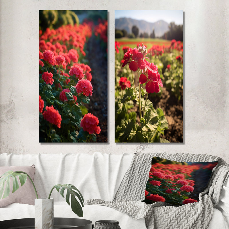 Photo Og Geraniums Field - Geraniums, ensemble de 2 reproductions d'art sur toile, H 28 po x l 25 po, Toile tendue