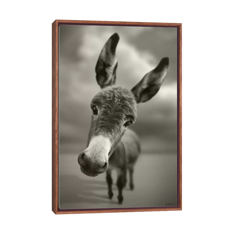 «Hey There» par Ben Heine - reproduction de photo, H 40 po x l 26 po x P 1,5 po, Toile avec cadre en bois brun classique