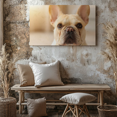 Bouledogue français, gros plan, mignon, portrait de chien, reproduction d'art sur toile pour le salon, la chambre à coucher, le bureau, le couloir, le vestibule, le mur de la galerie et la décoration moderne