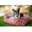 Lit pour chien marocain -1141137469-1141137470