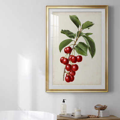 Antique Fruit II, reproduction encadrée de qualité supérieure - prête à être accrochée