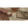 Gurusharan Oriental Hand-Tufted Wool Taupe/Beige/Brown Area Rug