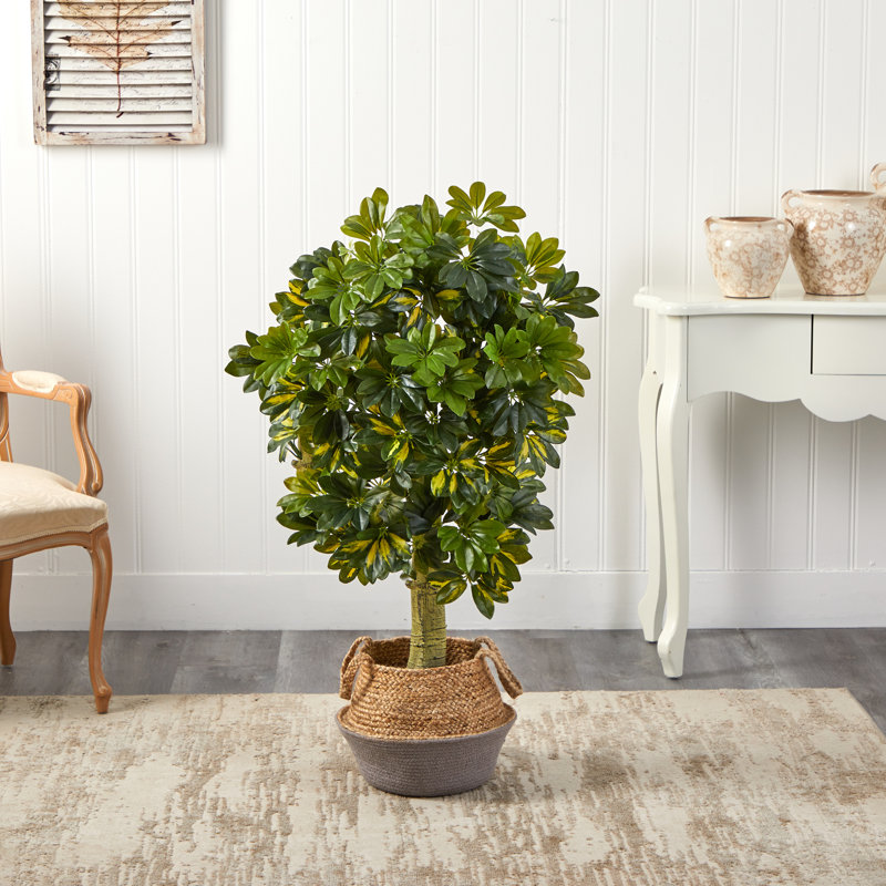 48'' Faux Foliage Tree in Basket, Tan/Mauve
