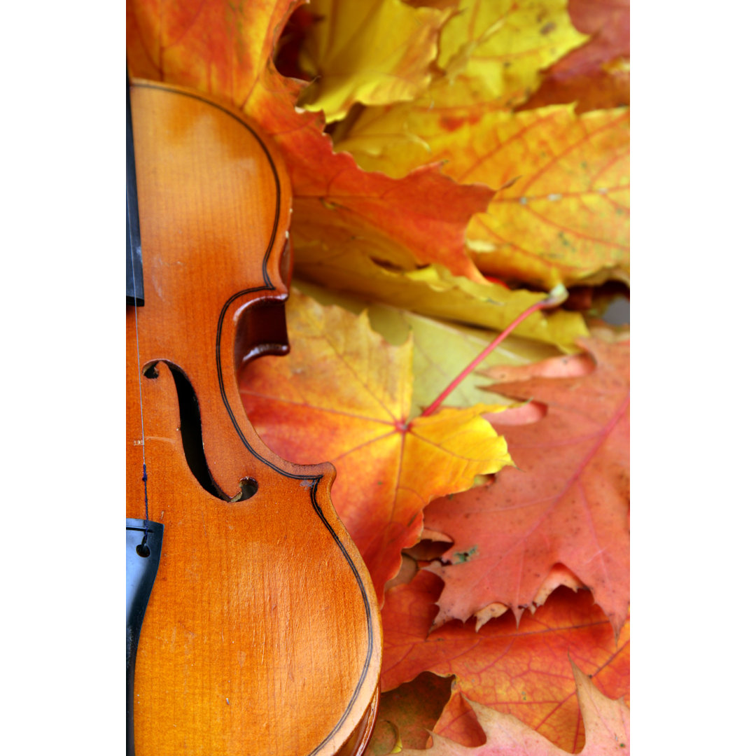 Herbstmusik von Mashabuba - Wrapped Canvas Set