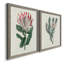 Protea N13 - Ensemble de 2 peintures sur toiles encadrées-2116893456-2116893549