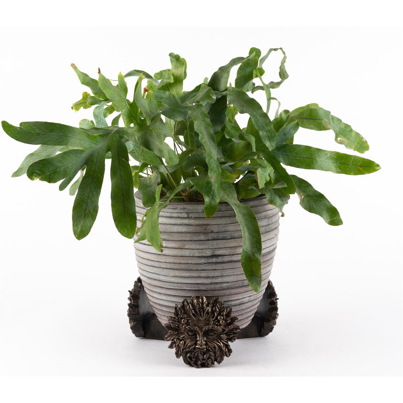 Weather Resistant Planter Feet
