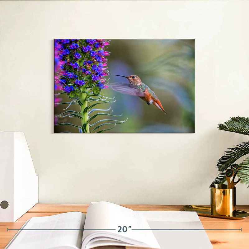 Brampt Hummingbird Feasting, 8" H x 12" W