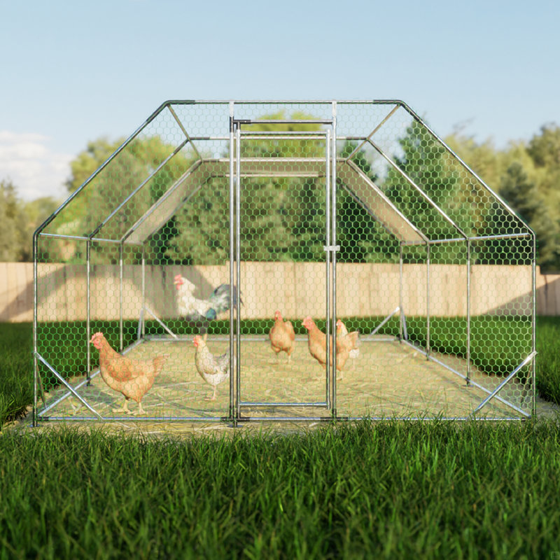 Chicken Run