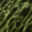 Papier peint Schumacher x Celerie Kemble-1529426477