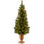 The Holiday Aisle® Montclair Spruce Entrance Tree with Clear Lights-983610221